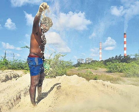 A man shows illegally dumped coal fly ash in Ennore in Chennai | Express