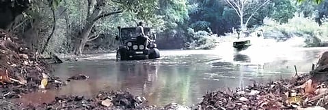 Two jeeps race in core area of Bhadra Tiger Reserve
