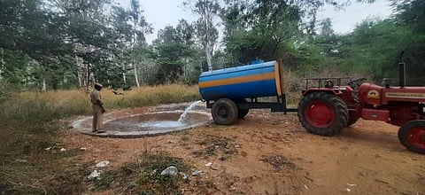Water troughs set up by the forest department. ( Photo | EPS)