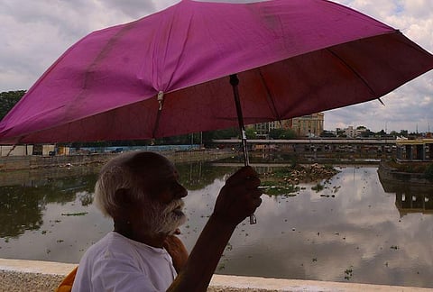 In the last 13 days, an average of 61.7 mm rainfall was recorded in Madurai district, which is three times more than the normal average of 20.7 mm | KK Sundar