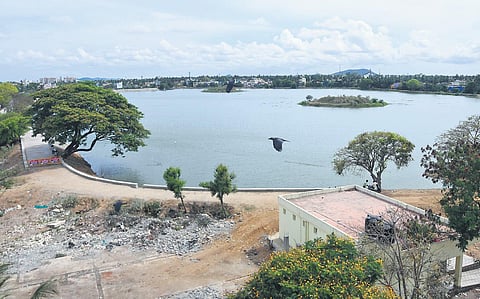 As the existing pathway lacks lights, people are wary of frequenting the Chitlapakkam Lake | Ashwin Prasath