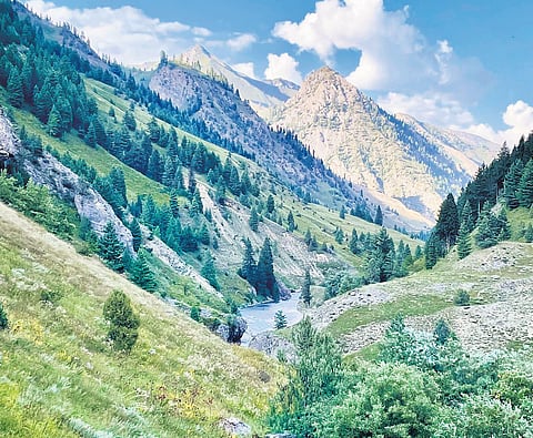 Located about 170 km from Srinagar, Gurez is close to the Line of Control | TWITTER