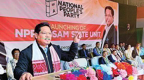 Meghalaya Chief Minister Conrad Sangma. (Express Photo Service)