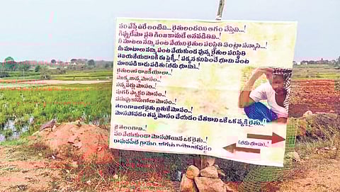 Game of grains: Defiant farmers in Telangana have won 