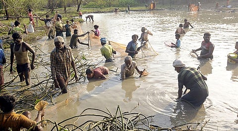 Fishing festival held at Melathaniyam in Pudukkottai on Monday. Express/ M Muthu Kannan