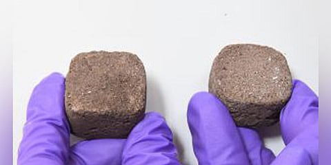 Bricks made out of Martian soil, using bacteria and urea, which can be used to construct building-like structures on Mars. (Photo | twitter.com/Amitraaz)