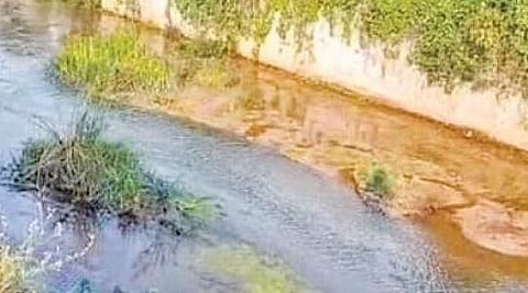 Poor drainage leads to waterlogging in Kempegowda Layout, allottees irked