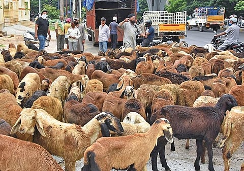 Representational image | RVK Rao