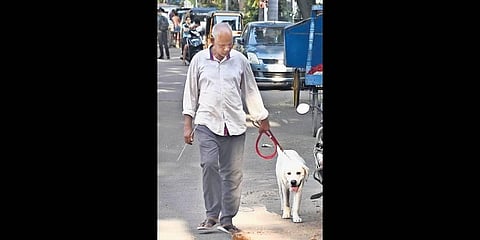 ‘Only 1000 dog owners get mandatory license yearly’