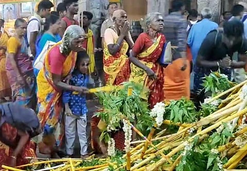 Devotees dropping neem branches they brought and picking new ones during the Nagarathar festival on Tuesday | Express