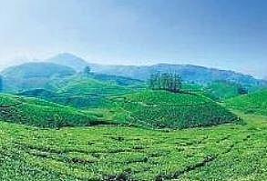 Kerala hill stations in demand among tourists