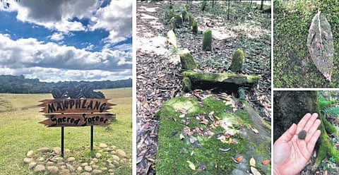 (Clockwise from above) Mawphlang Sacred Grove, monoliths, a giant leaf, rudraksh