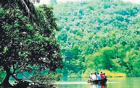 Amboori panchayat says no to eco-zone plan, observes hartal