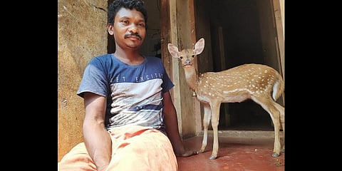 Rameshan at his home in Wayanad with spotted deer fawn ‘Chakkara’ that was later released into the forest.