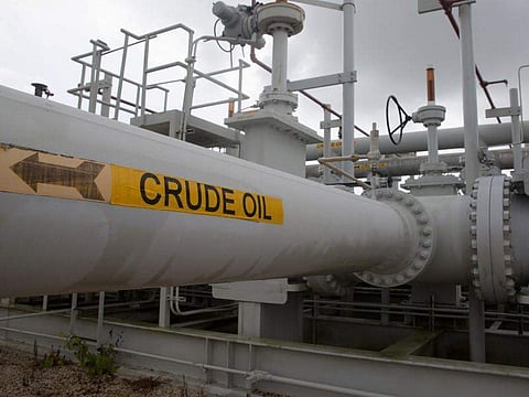 Don’t politicise crude oil purchase from Russia, says India