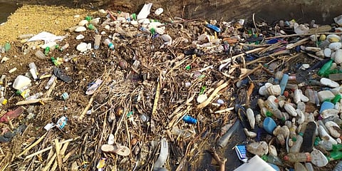 Poultry waste flows through PAP canal, hazardous to public health