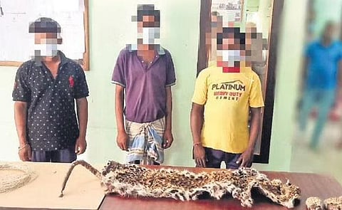 The three accused with the seized leopard hide and paws | Express