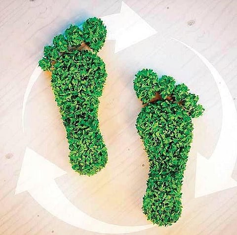 Image for representational purposes only. (File Photo)