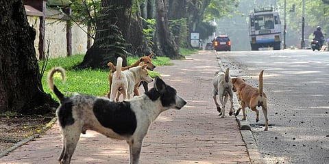 Image used for representational purpose only. 