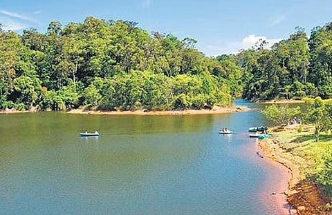 Forest dept shows interest in KSRTC’s special Gavi package, gears up for study 