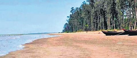 Talasari beach (Photo| EPS)