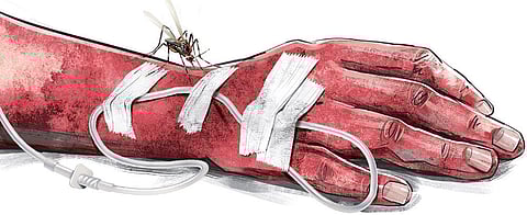 Ernakulam reports alarming rise in dengue cases