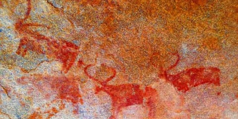 The rock art found in Yadadri Bhuvanagiri district. (Photo| EPS)