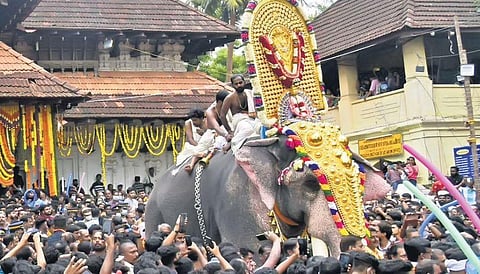 An elephant moving through a cheering crowd at Thrissur Pooram. 
