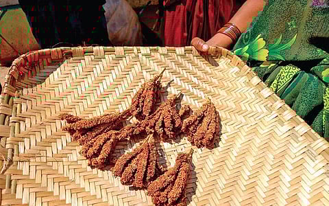 Tribals champion Millet products