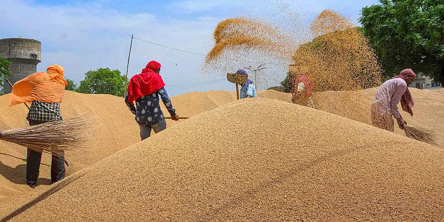 Centre approves wheat export after four-year ban