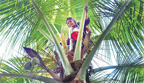 Kudumbashree: The world's largest women's network basks in ‘silver’ shine