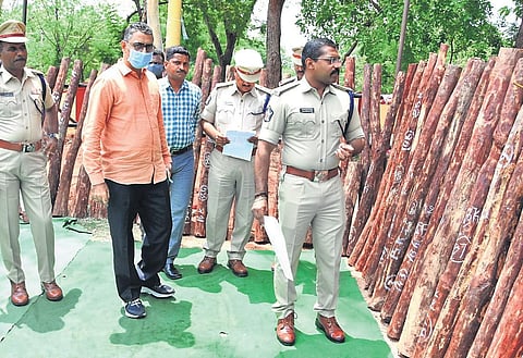 The red sanders logs that were seized at Vontimitta on Tuesday | Express