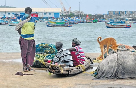 Deep-sea fishing curbs leave fisherfolk, traders in lurch