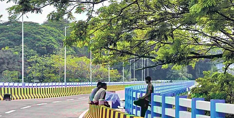 The medical college flyover set to open for public in the second week of May. It is included in the comprehensive masterplan for the captital city. ( Photo | EPS, B P Deepu)