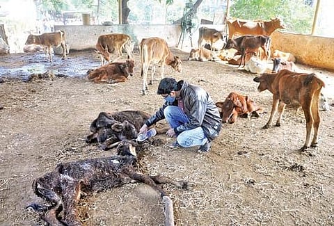 Image used for representational purpose only. (File Photo)