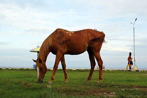 Image used for representational purpose only. (File Photo)