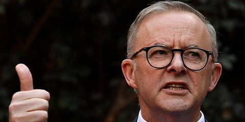 Anthony Albanese (Photo | AP)