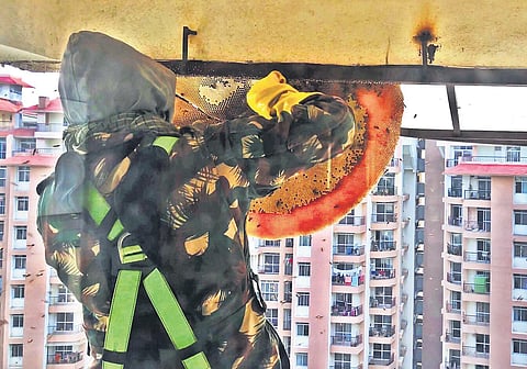 Stills from the film