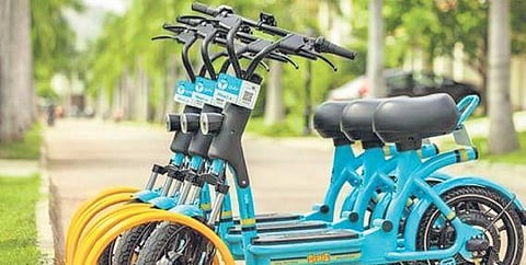 Visitors aged above 18 years can rent a cycle for Rs 100, while those aged between 12 and 18 will be charged Rs 50.