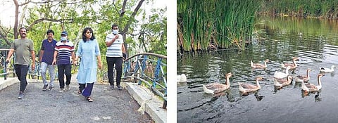 GMC Commissioner Keerthi Chekuri inspects NTR Manasa Sarovaram (Left); Geese swimming in boating pond at the park | EXPRESS