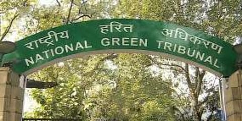The National Green Tribunal.(File photo | EPS)