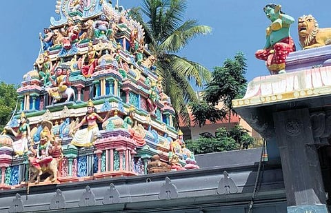 Photos: Chithra Madhavan