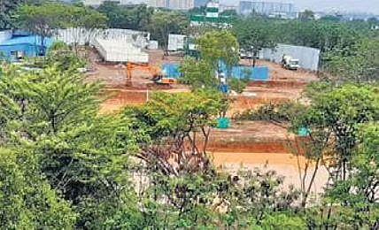 The area inside IISc campus where trees have been axed