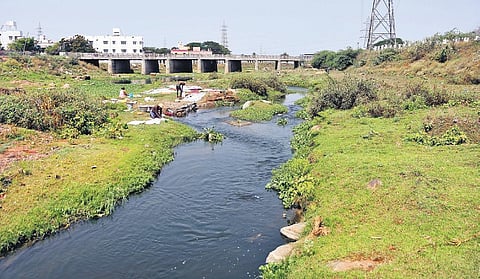 The Adyar flowing through Thirumudivakkam-Anankaputhur | Ashwin Prasath