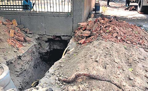 Civic work hurting trees: Forest department questions government