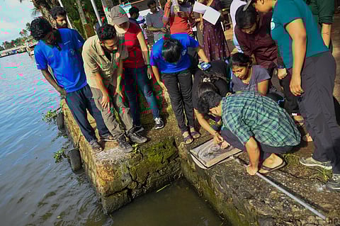 Team members collecting fish samples from Vembanad Lake as part of Fish Count 2022