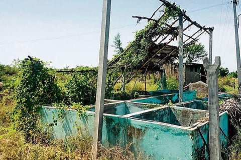 A damaged vermicompost shed in Perali village of Perambalur district | Express