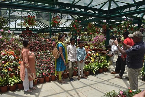 Tourists visited various parks owned by the Horticulture department including the well known Government Botanical Garden (Photo | EPS)