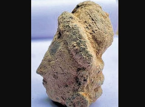 Head of a figurine made of terracotta . (Photo | EPS)