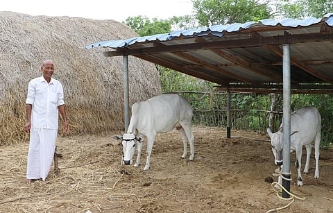 Veeraragavan, the 56-year-old headmaster who has been successfully practising 'Biodynamic Agriculture' (Uyir Iyakka Velanmai). (Photo | EPS)